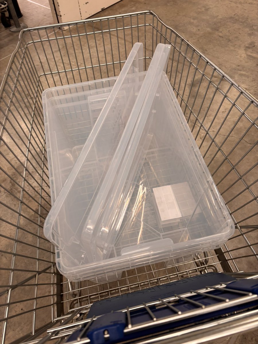 RYOKU33♂ tweet media