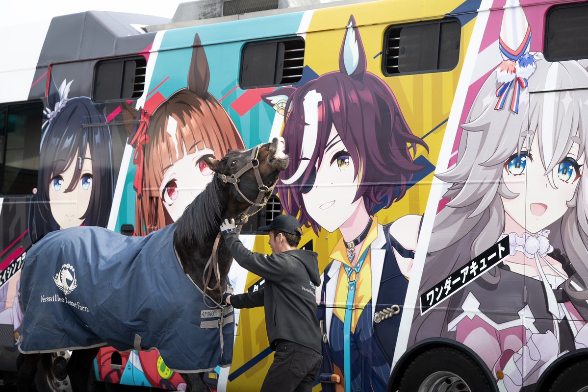 Yogiboヴェルサイユリゾートファーム tweet media