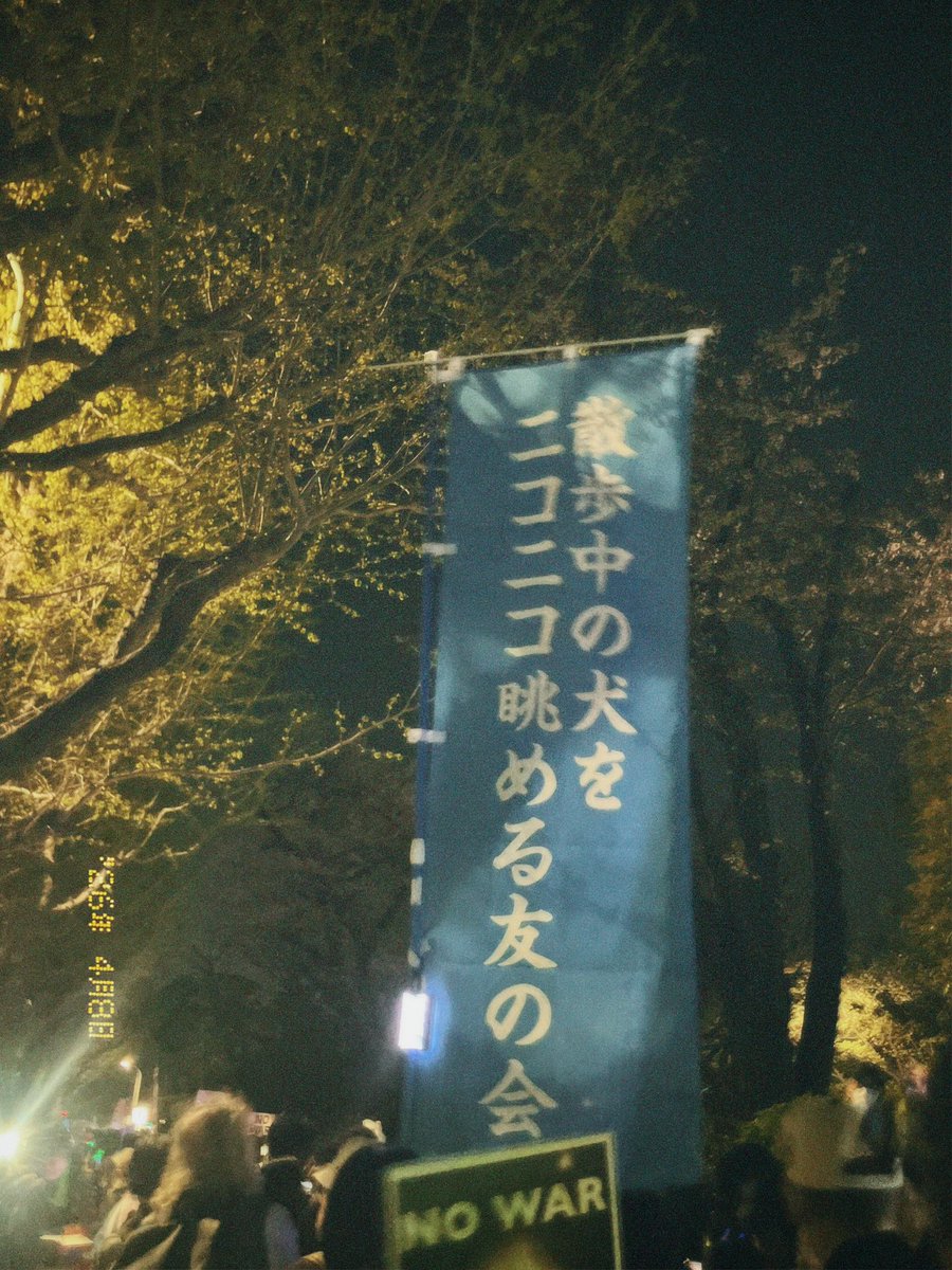 みんぽこ🐰🐬🩵 tweet media