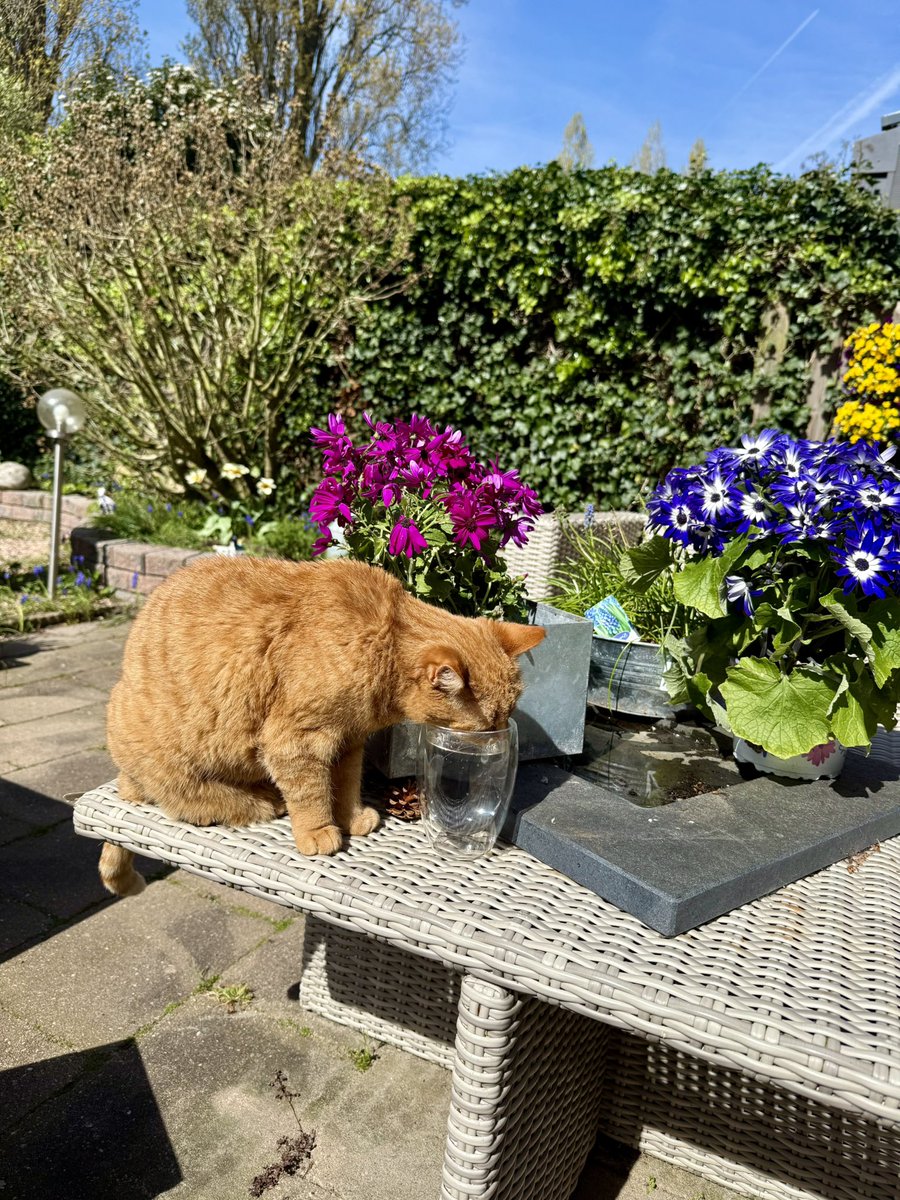 Karen Dagen tweet media