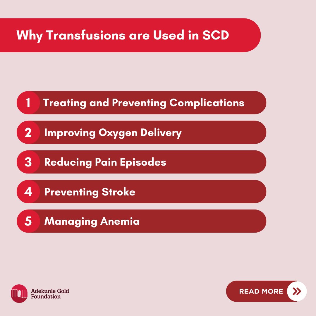 AGoldFoundation's tweet photo. Understanding treatment options is part of the journey toward better health, dignity, and hope ❤️
#AdekunleGoldFoundation
#GenotypeTest
#GenotypeMatters #SickleCellAwareness https://t.co/Z7XLl7Bqia