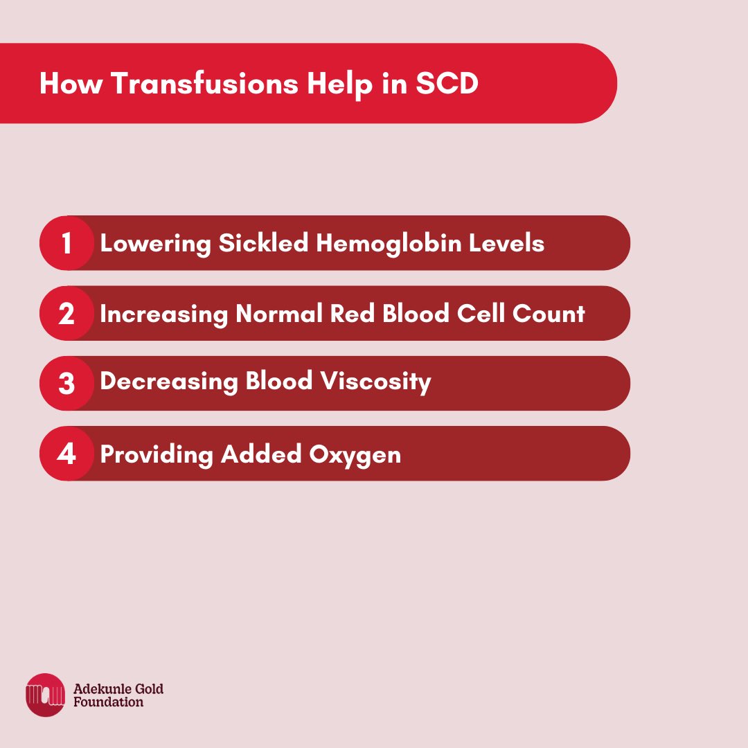 AGoldFoundation's tweet photo. Understanding treatment options is part of the journey toward better health, dignity, and hope ❤️
#AdekunleGoldFoundation
#GenotypeTest
#GenotypeMatters #SickleCellAwareness https://t.co/Z7XLl7Bqia