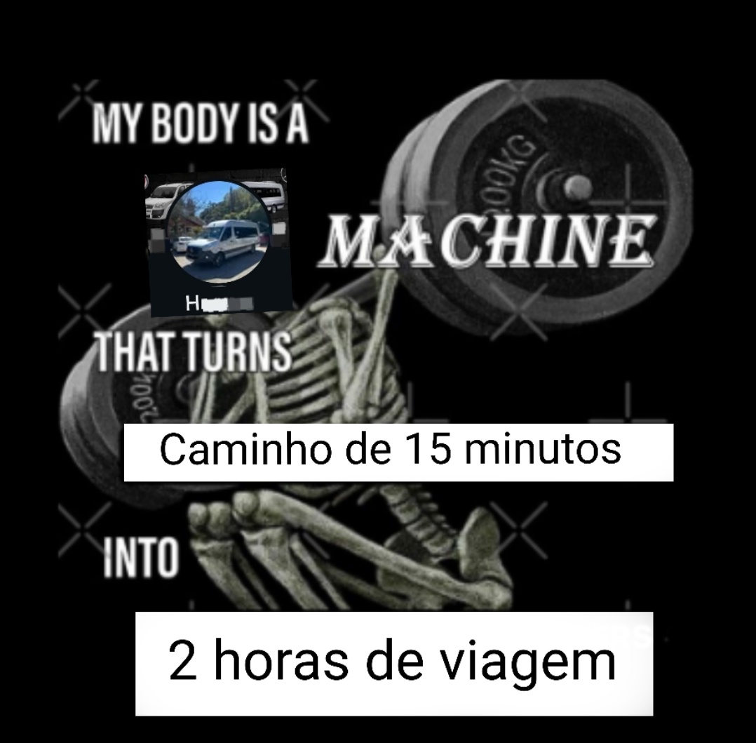 Vicente🦎 tweet media