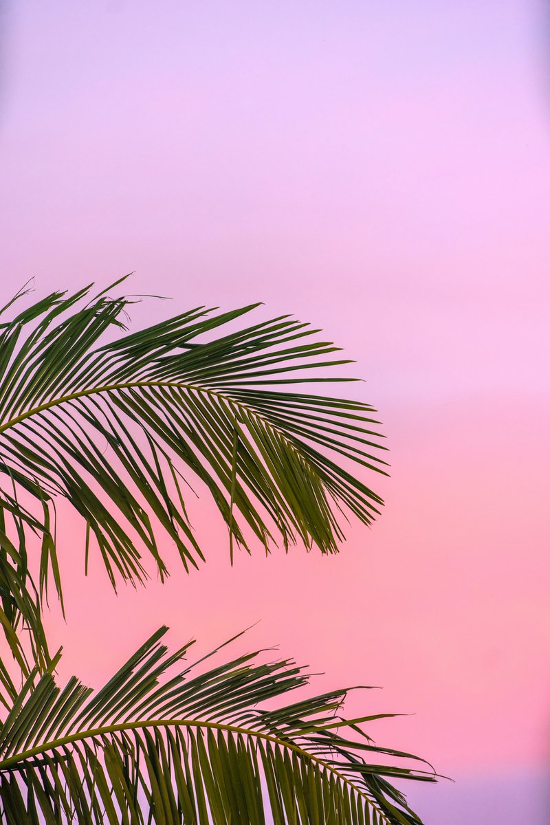 purenature_1's tweet image. Summer vibes with pinky sky ☀️🩷 #beach