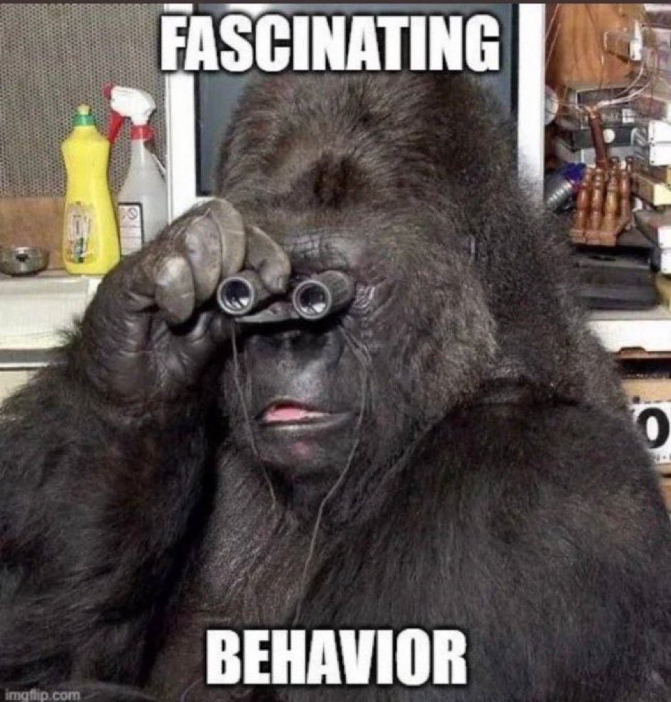 certifiedwhiteman fren⚡⚡1488🏴‍☠️🎖️🤙🪏🦧🐖 tweet media