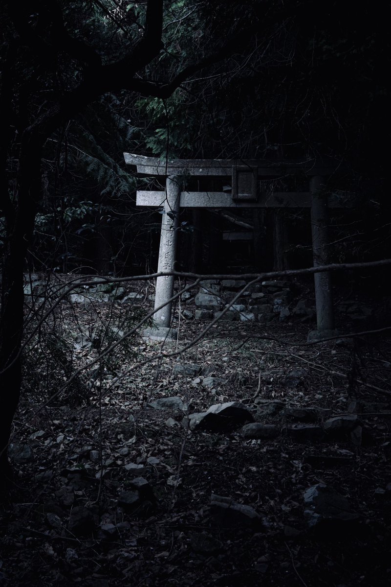 しどろ tweet media