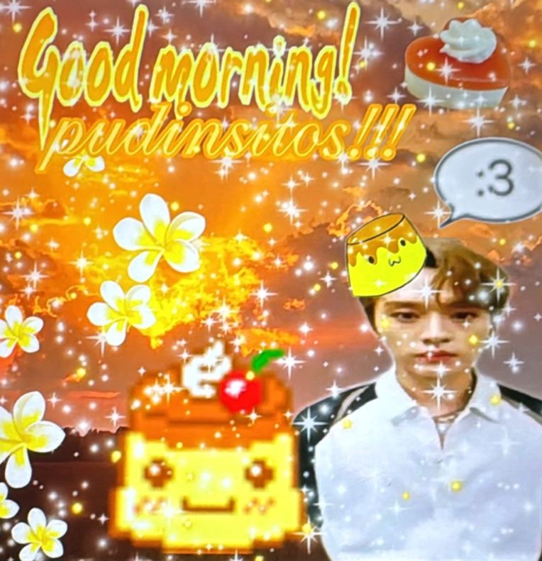 puddingo 🍮 tweet media