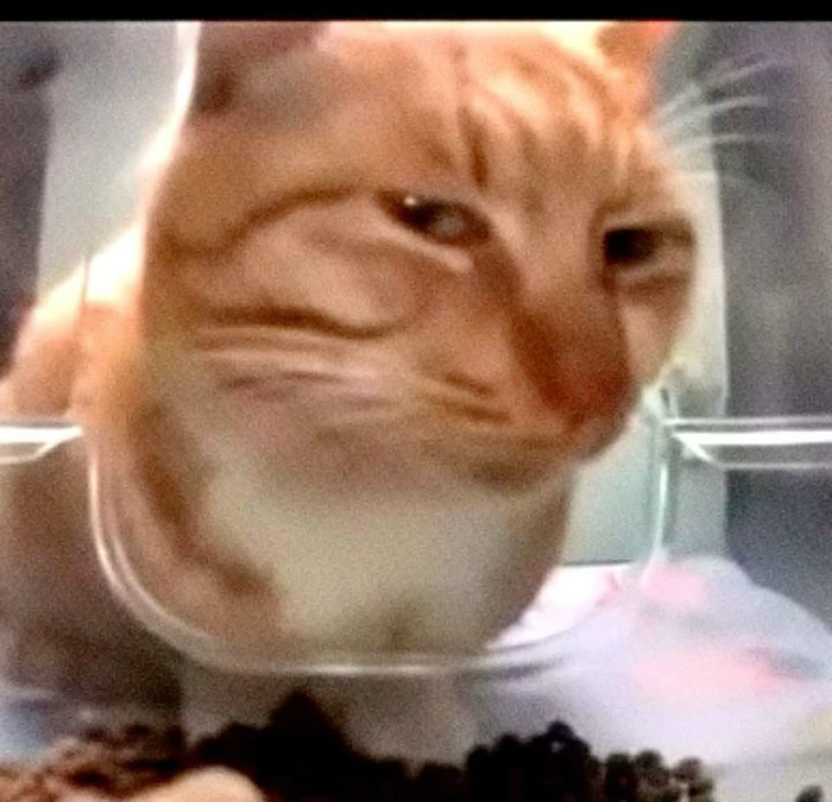 𝒫𝑒𝓉𝑒𝓇 ✩ tweet media