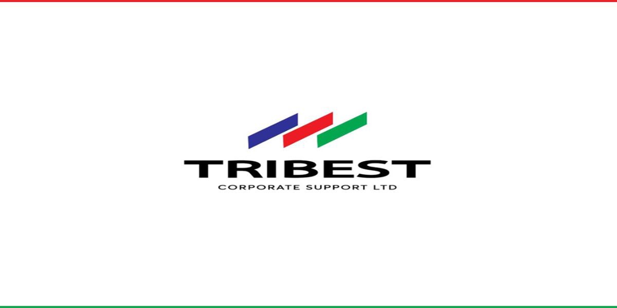 RecruitmentPq's tweet image. TRIBEST Corporate Support Jobs are OPEN

TRIBEST is recruiting for Teller, Cashier &amp;amp; Customer Service roles across multiple locations in Northern Nigeria.

– Multiple entry-level openings
– Handle customer transactions &amp;amp; inquiries
– Work in a fast-paced environment
– Opportunity