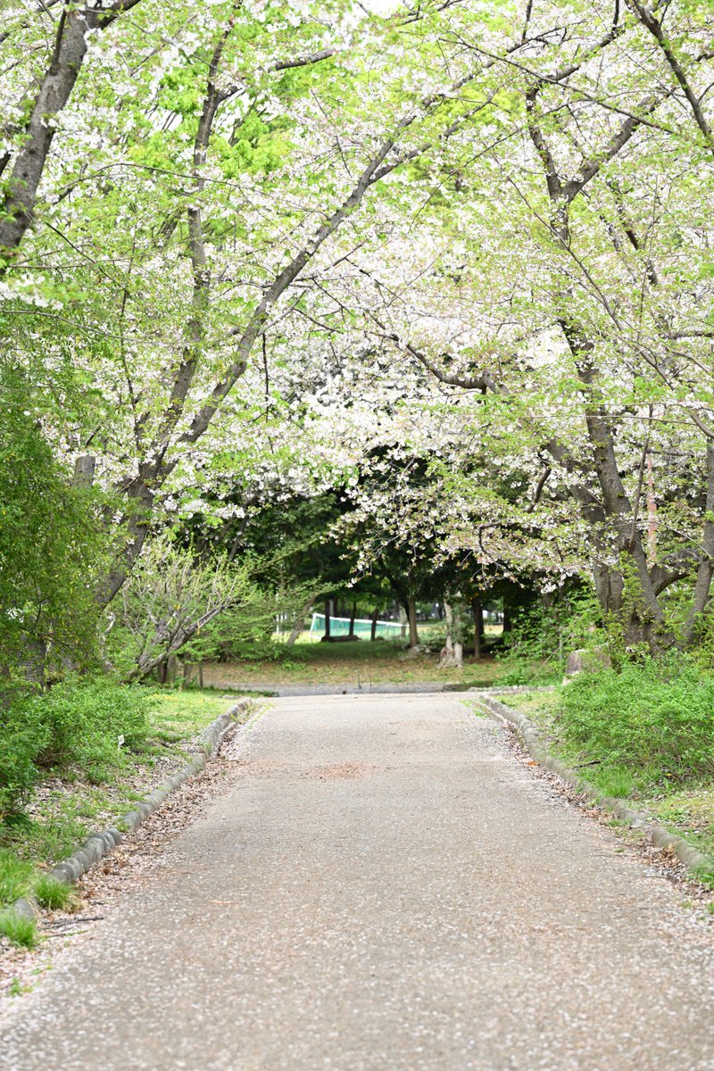 ミゲルん=ラブスピ土曜予定 tweet media