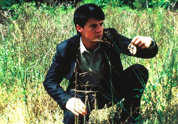 'Quentin Tarantino is interested in watching somebody's ear getting cut off; David Lynch is interested in the ear.'

David Foster Wallace,
'David Lynch Keeps His Head'