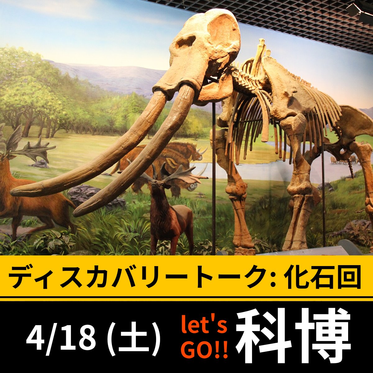 冠龍 諸々を執筆中（遅） tweet media