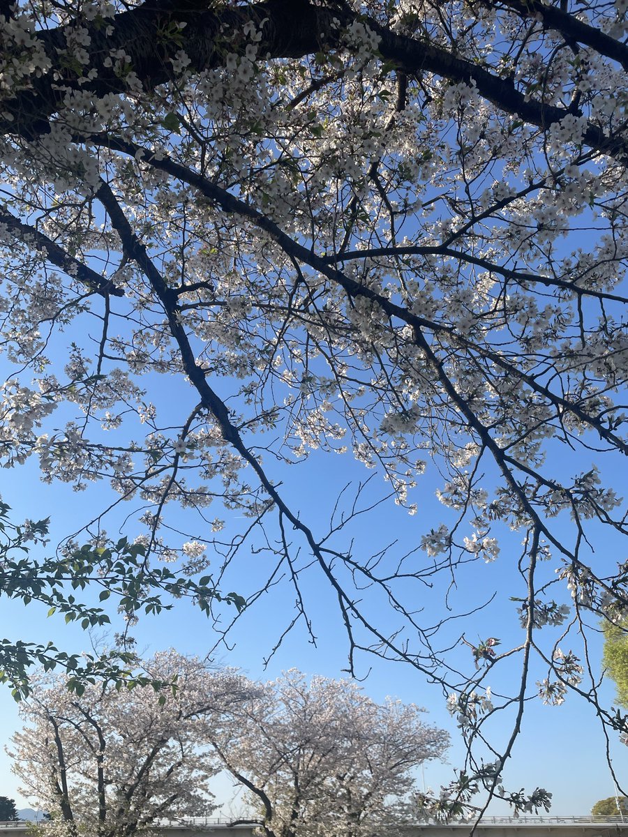 Tatsuya YABUUCHI tweet media