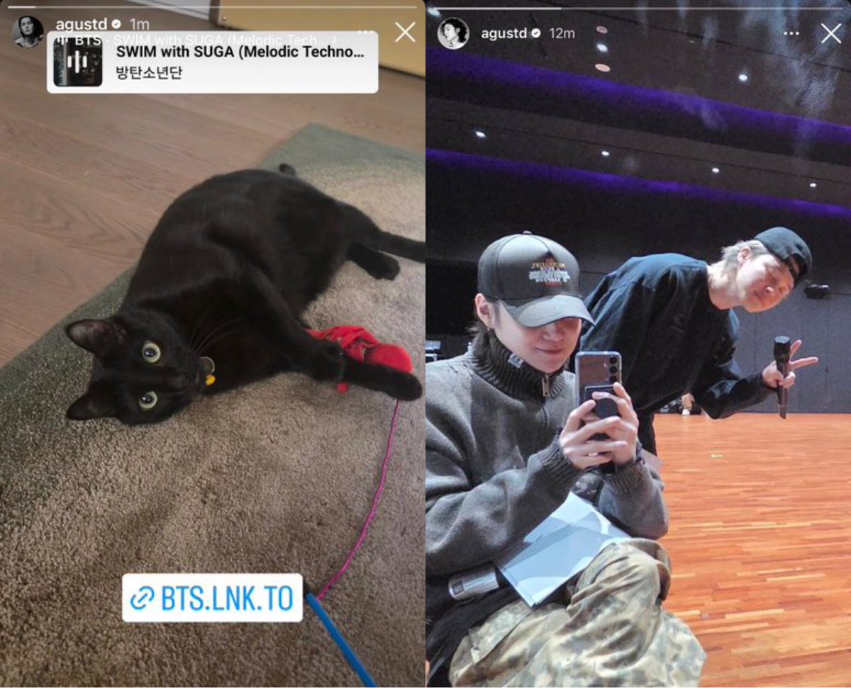 🧚🏻 tweet media