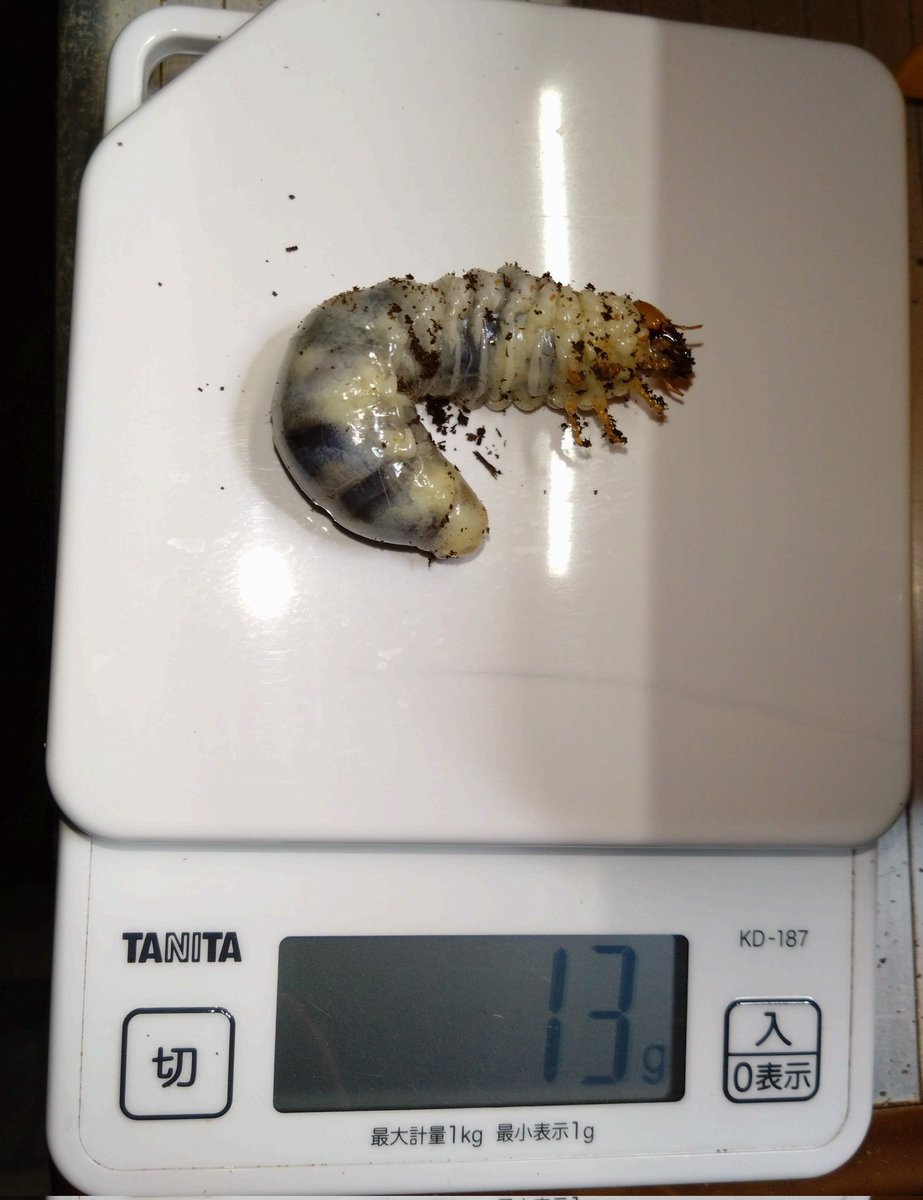 samayasu tweet media