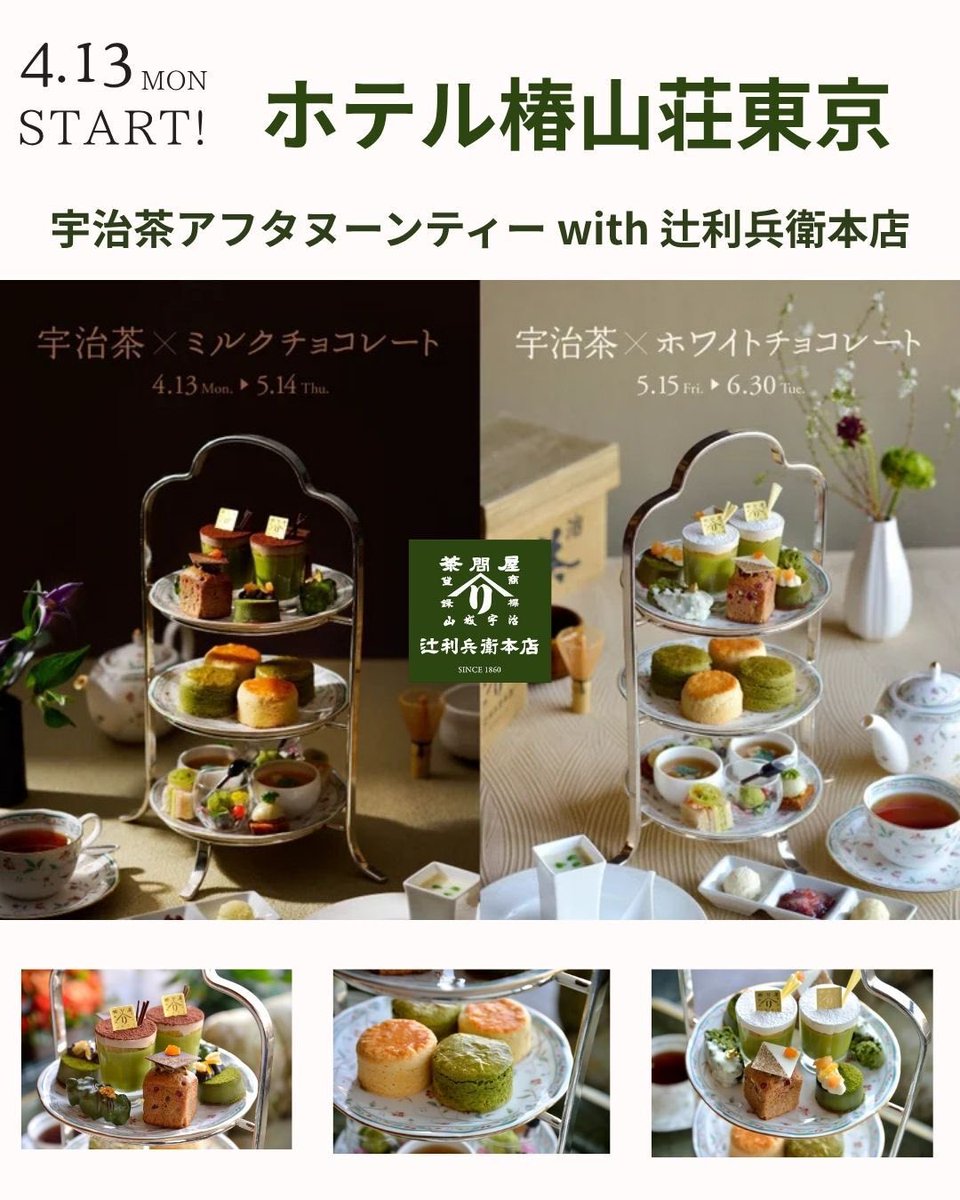 MATCHANNEL〜No.1抹茶メディア🍵〜 tweet media