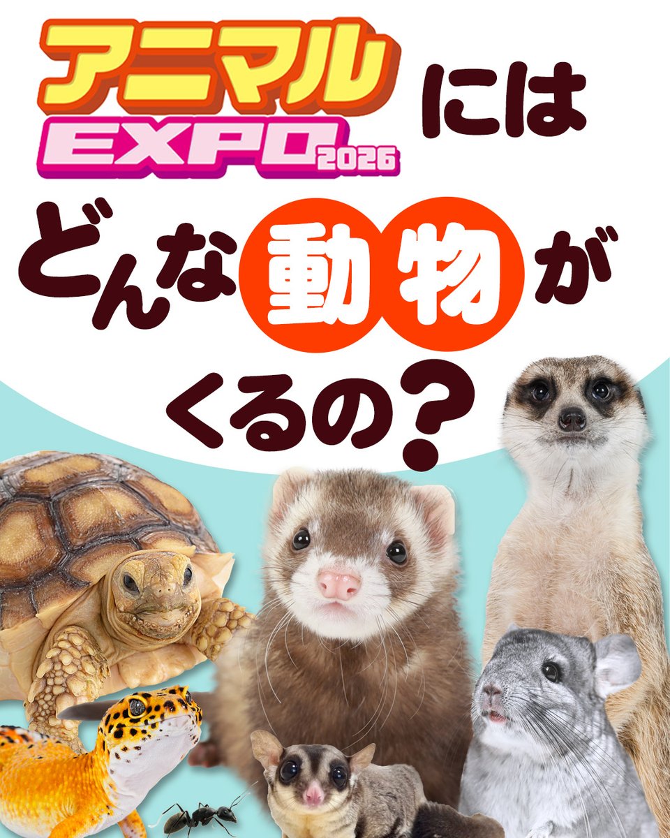 アニマルEXPO2026@5/10開催 tweet media