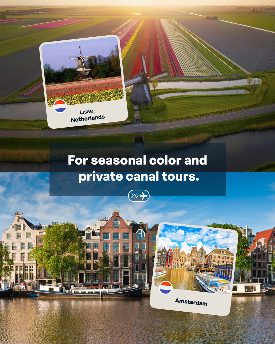 Flypeejay tweet media