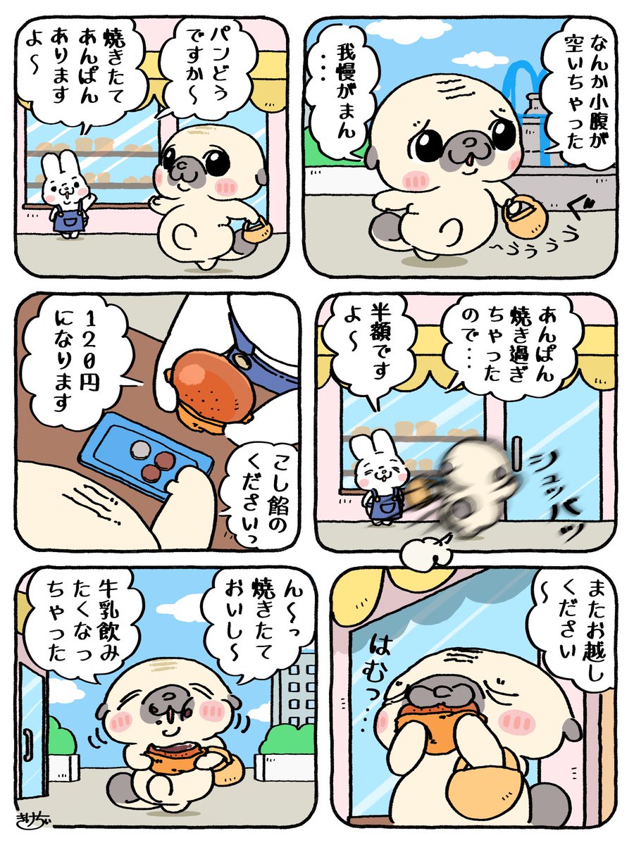 パグのもったん tweet media