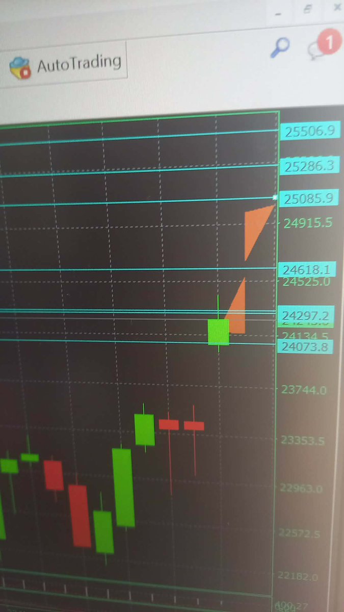 WRÓŻKA ZĘBUSZKA tweet media