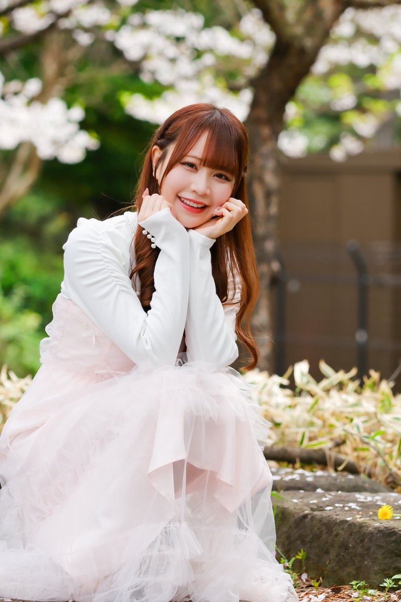 笹の才蔵🦕 tweet media