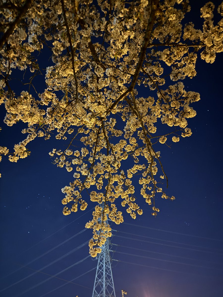 けぃ汰@5/24(日) 大九州合同祭 小倉 tweet media