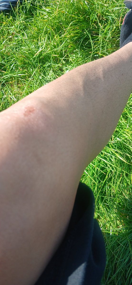 stargazeruk7 tweet media