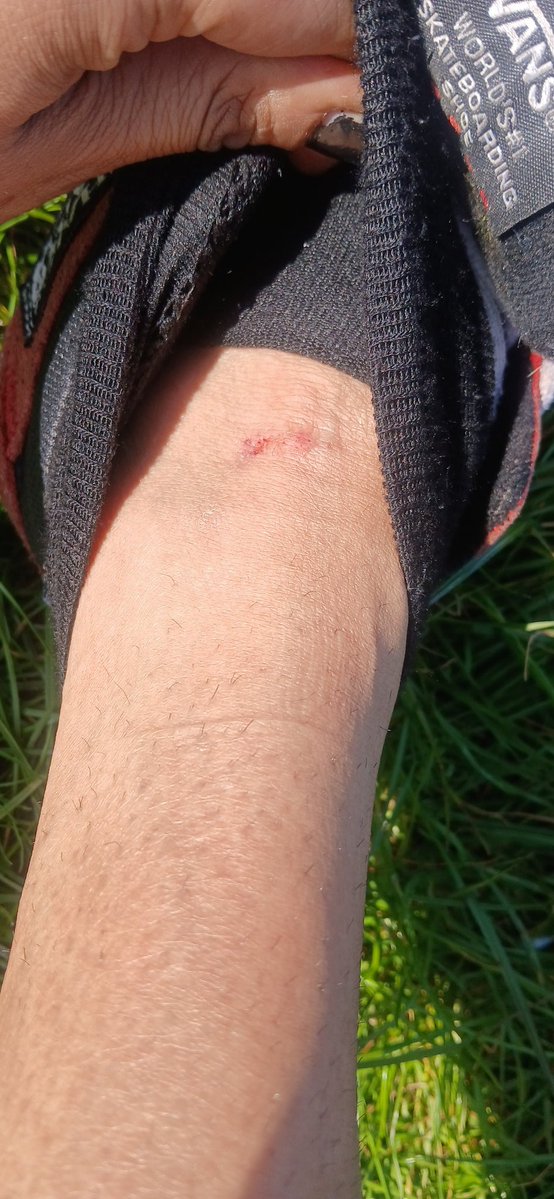 stargazeruk7 tweet media