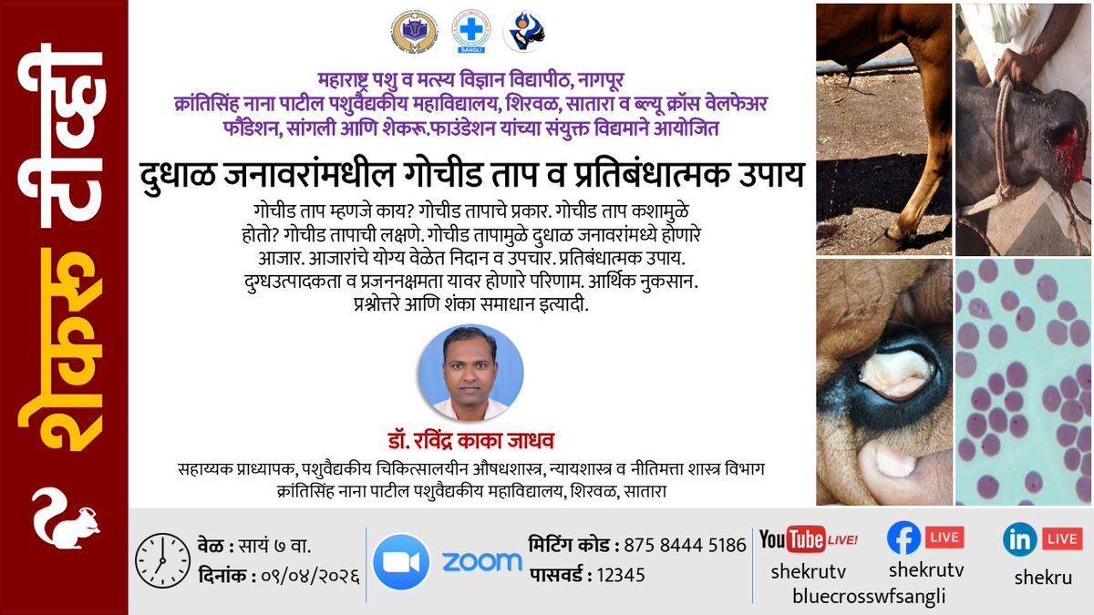 Shekru\शेकरू tweet media
