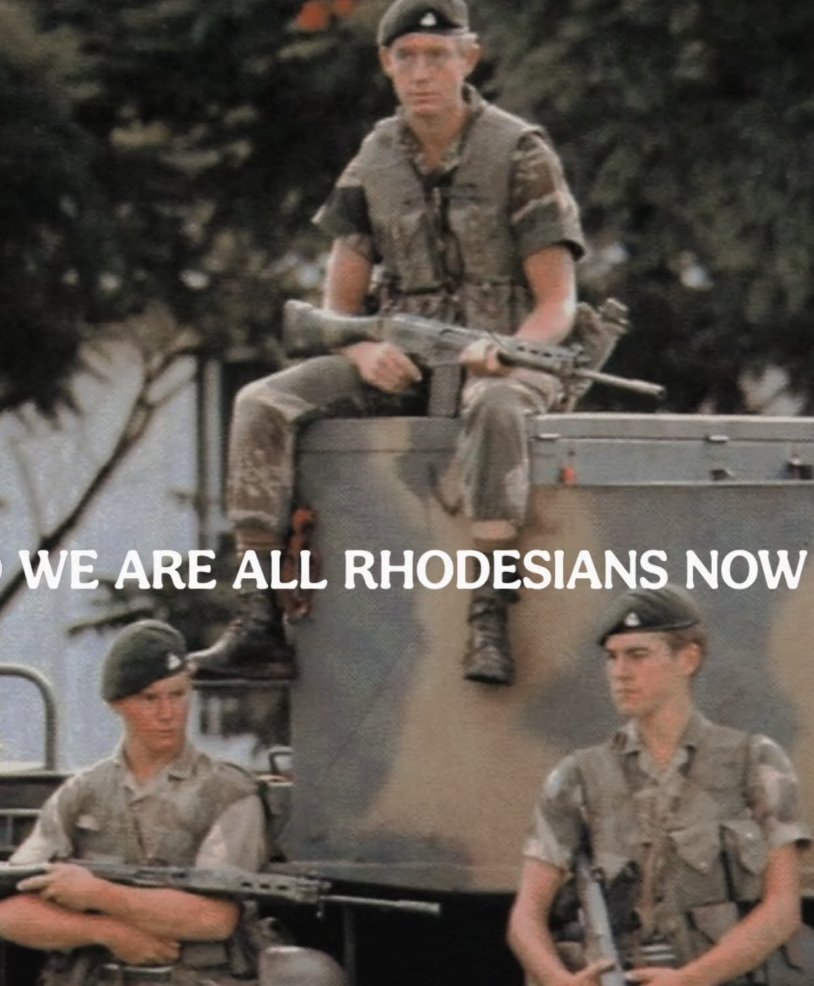 leighton tweet media