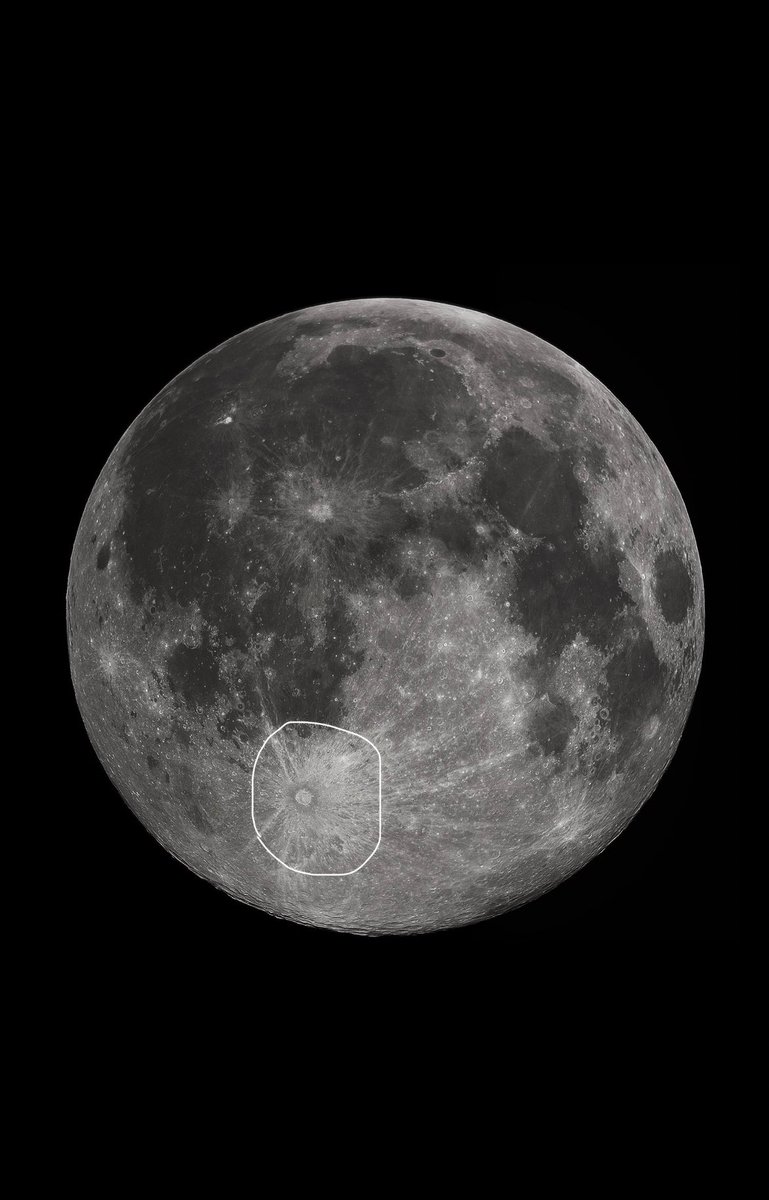 ᴅᴇsᴛᴀɴsıᴢ ᴇʙʀᴜ tweet media