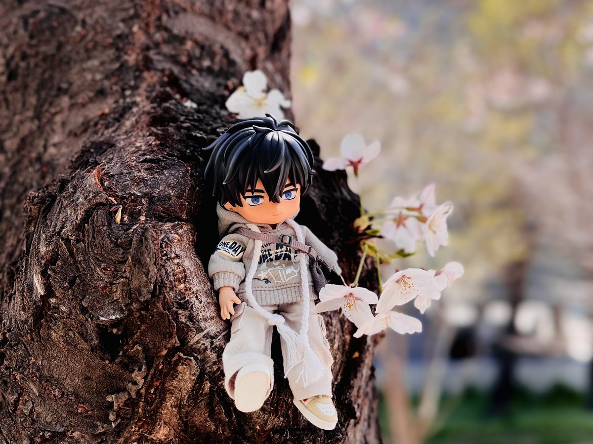 쥐인형 tweet media