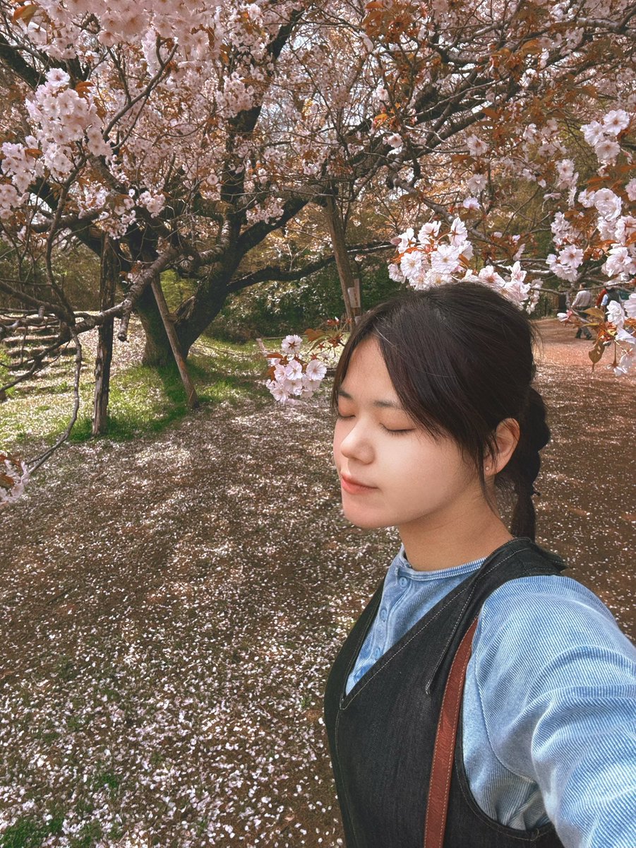 ju_ri0022's tweet photo. 🌸 https://t.co/silqBOpJeo