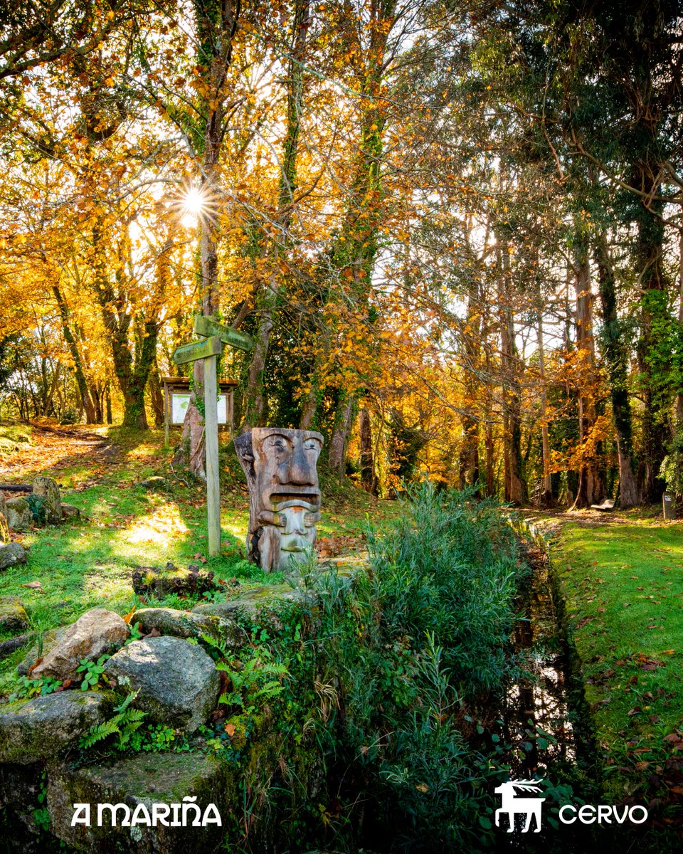 A Mariña Lucense Turismo tweet media