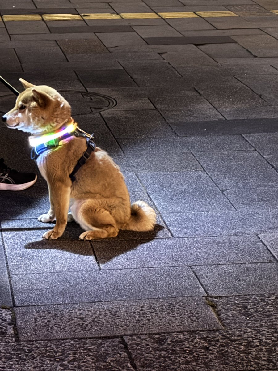 はりま和宏＠日本共産党帯広市議 tweet media