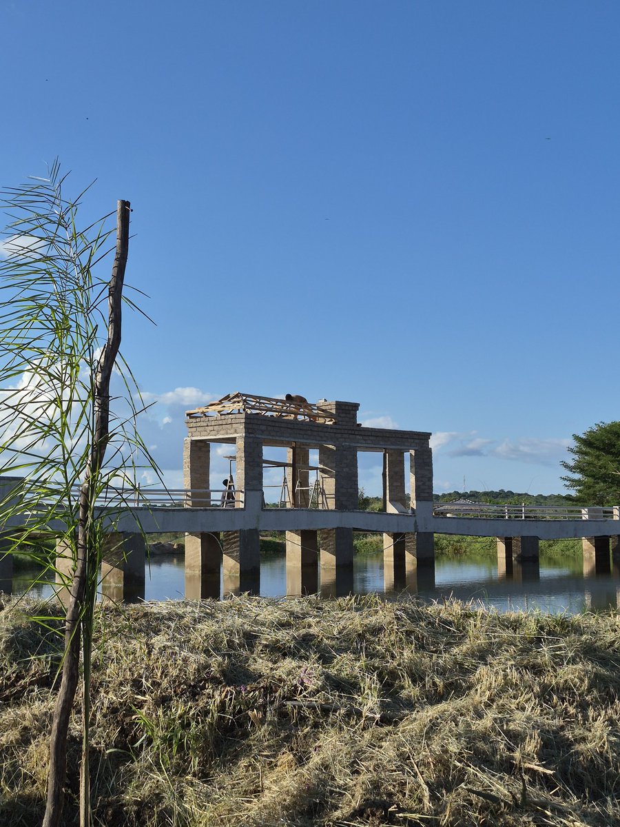 Alson Manyama tweet media