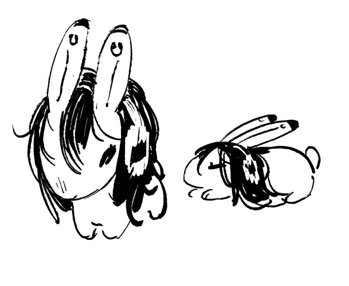twobird tweet media