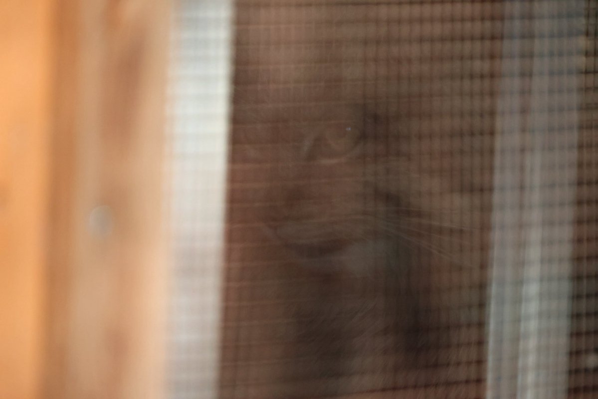 あっぴ tweet media