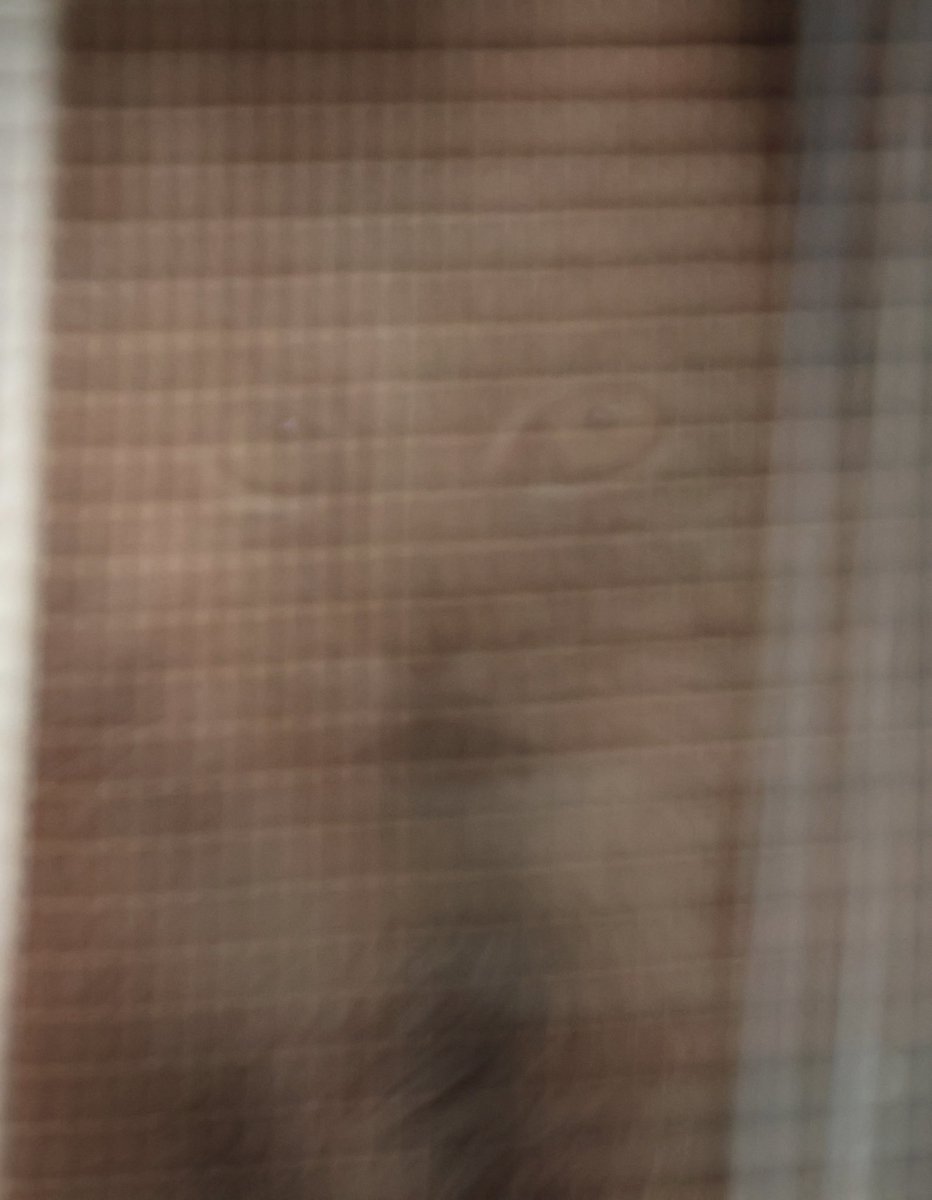 あっぴ tweet media