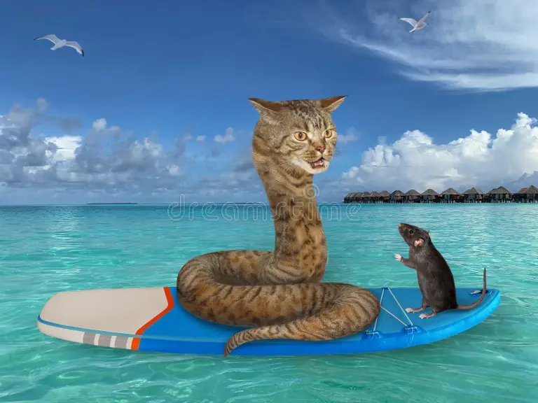 Jonas Čeika tweet media