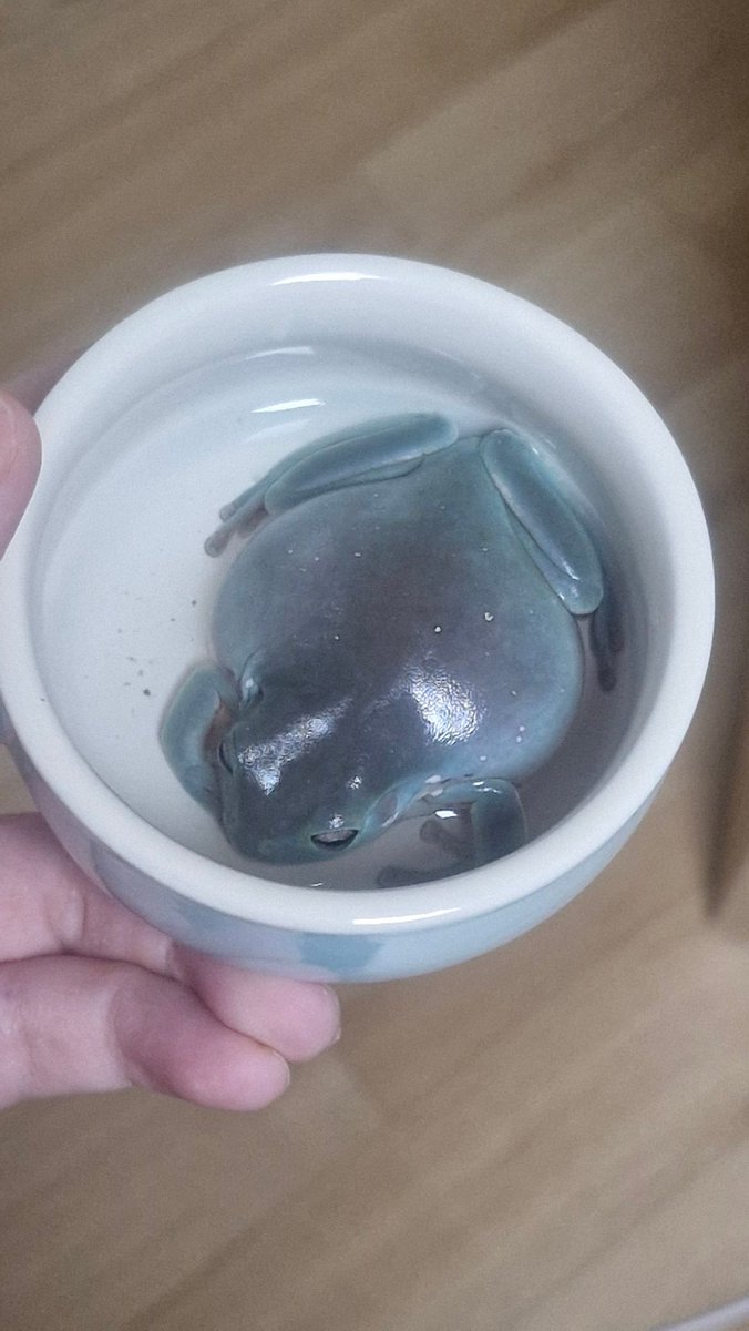 나윤이 tweet media