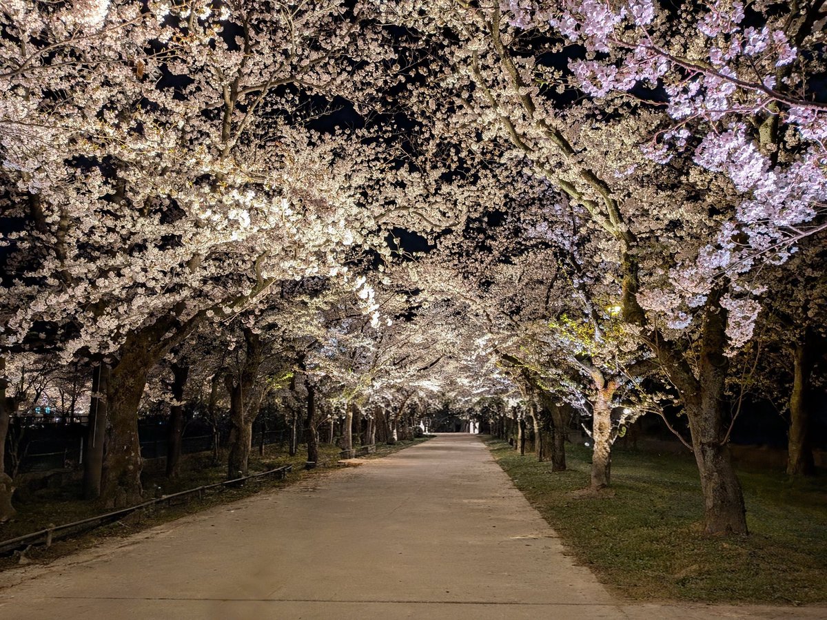 捌＠コトダマン tweet media