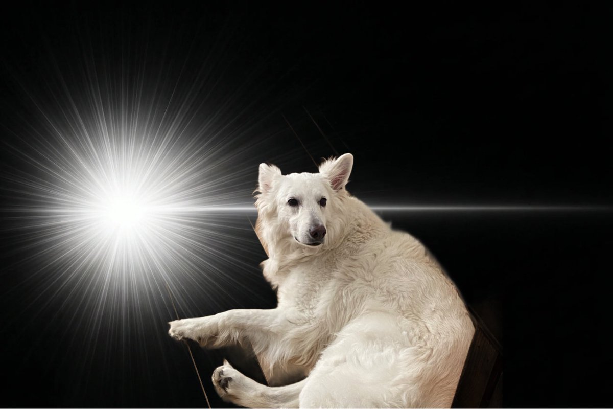 おやつのけはいが？