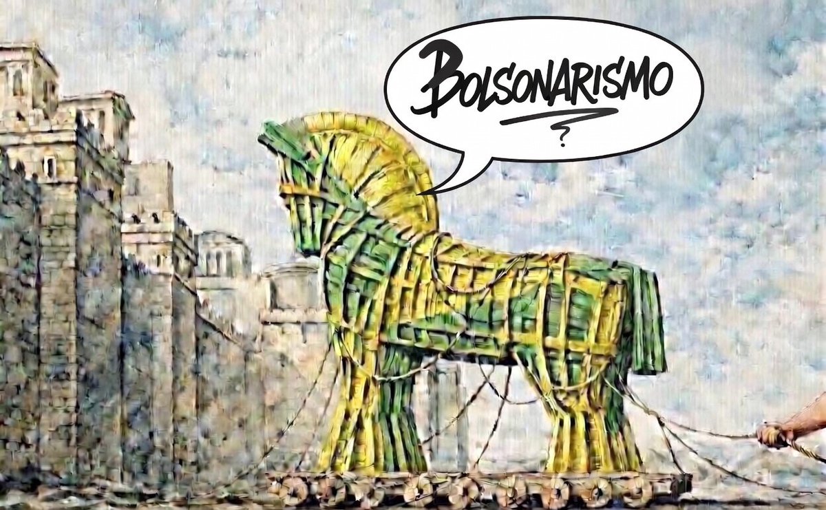 Hisla Grillo 🇧🇷 tweet media