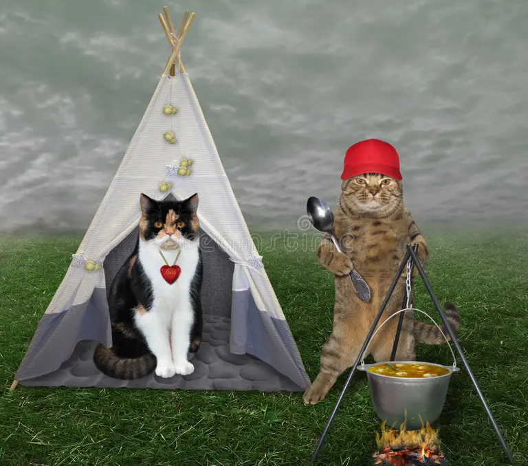 Jonas Čeika tweet media