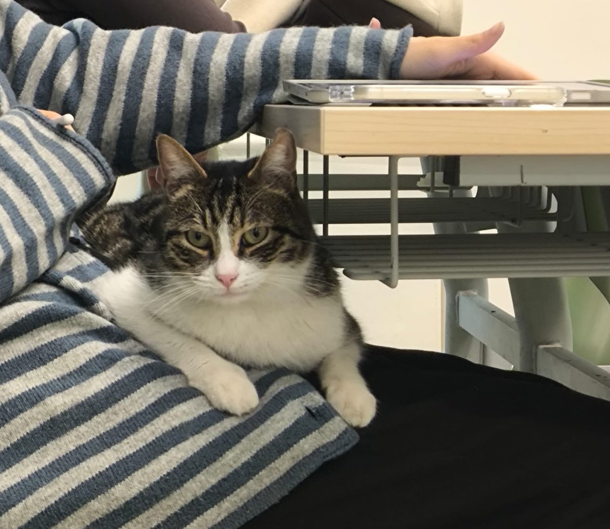 gece 🌑 tweet media