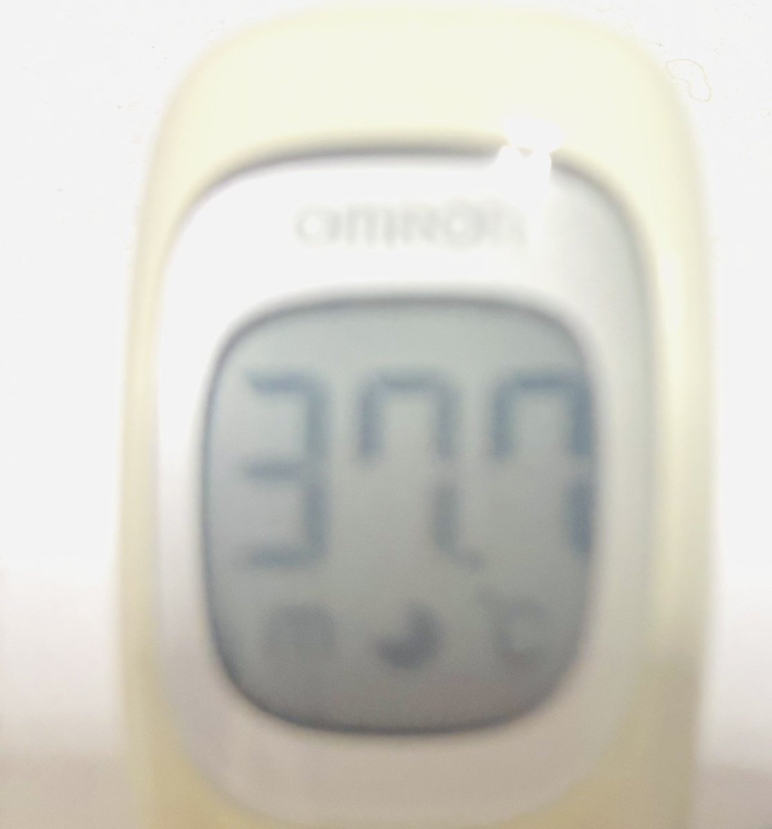 あさぎ(あにゃ) tweet media