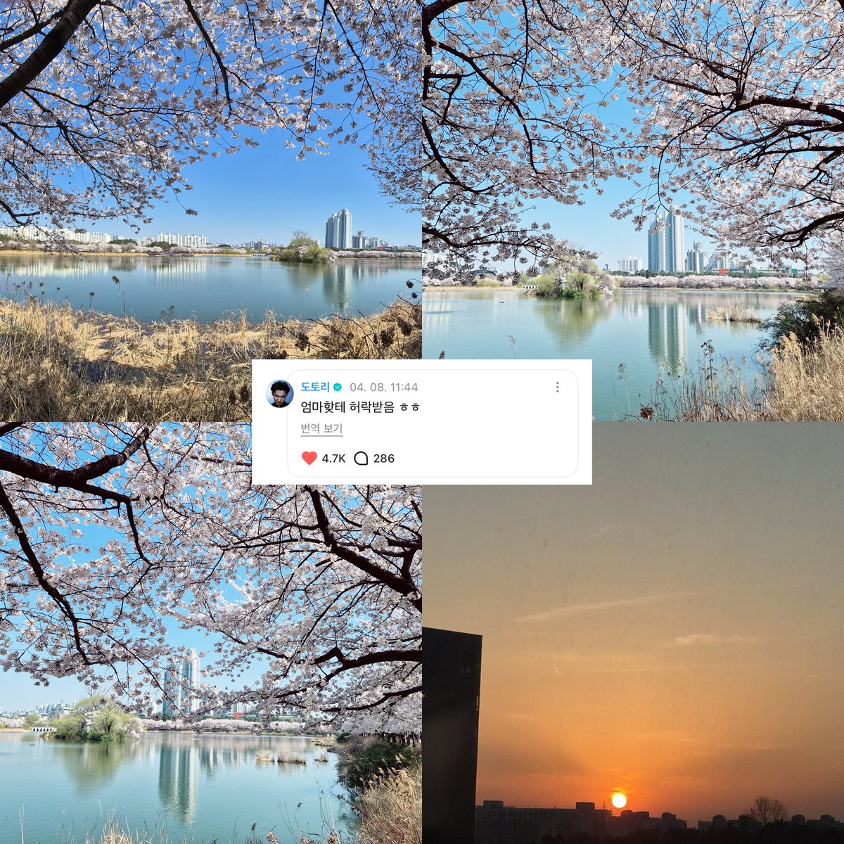 샐마•𝗘𝗡╸⁷ tweet media