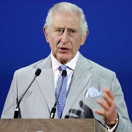 JM News Network tweet media