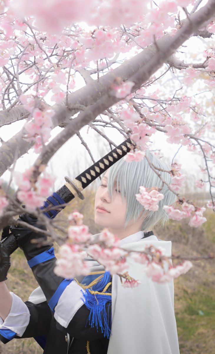 cosplay
刀帳No.158

彼は、桜の刀

photo #chino_film

#えざき舎
#桜刀剣男士